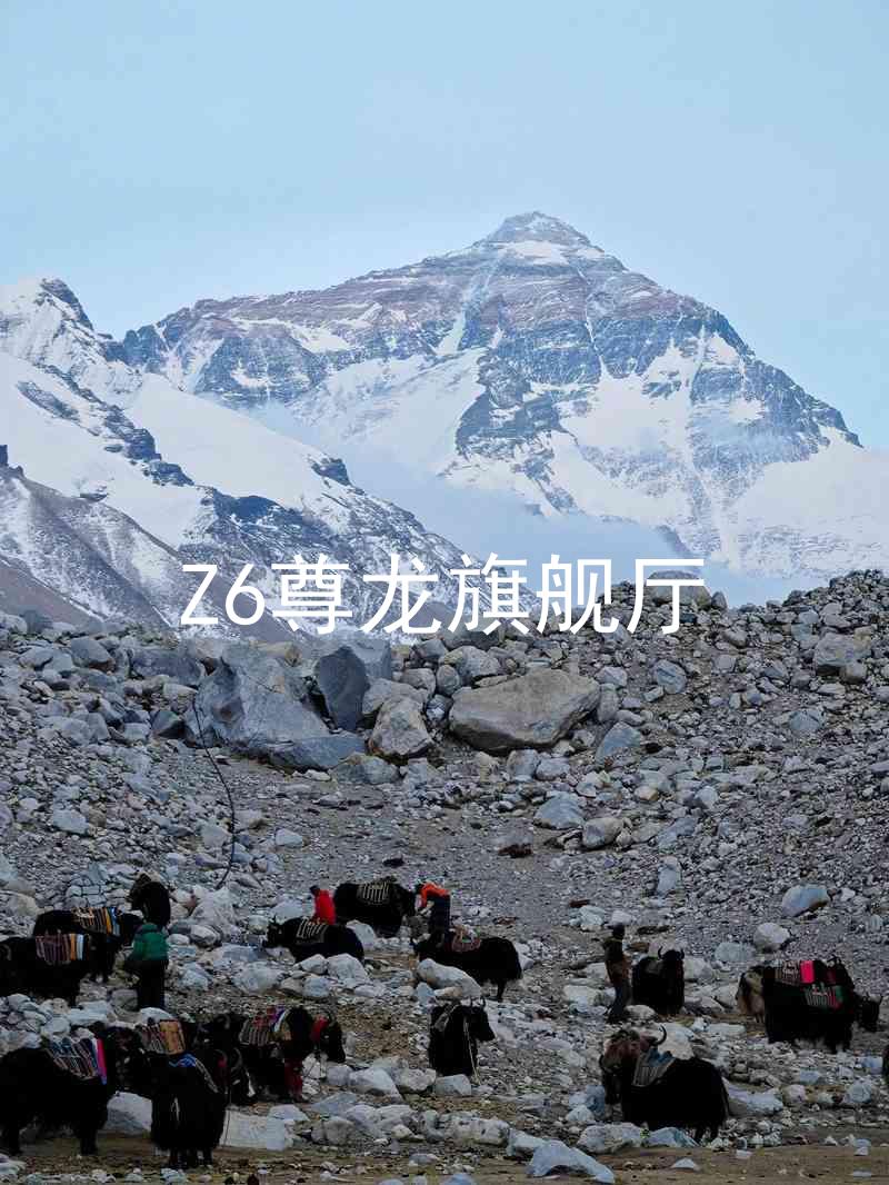 Z6尊龙旗舰厅