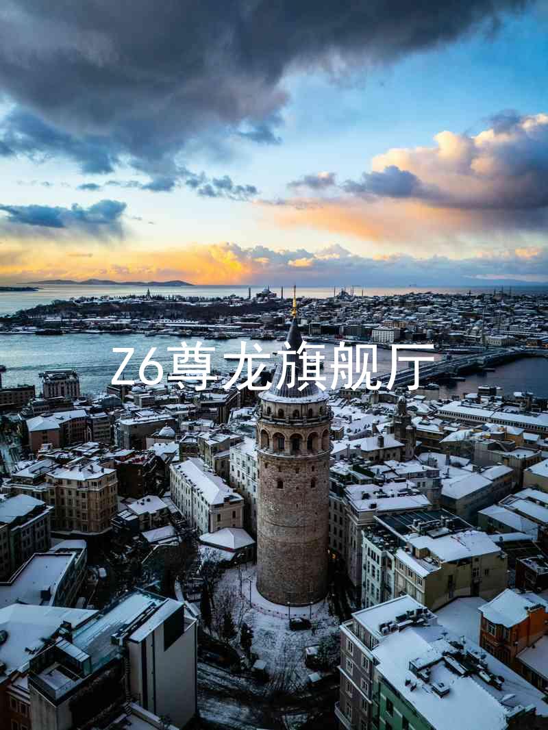 Z6尊龙旗舰厅