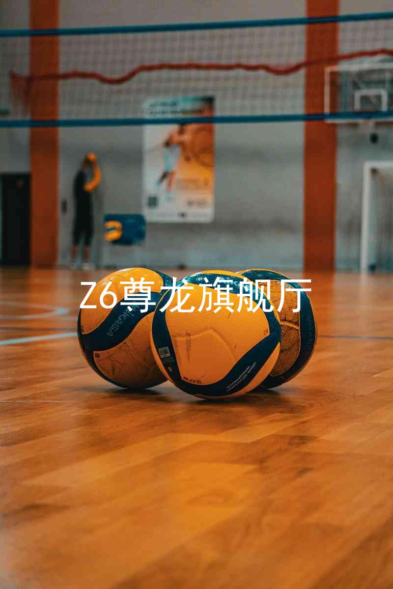 Z6尊龙旗舰厅